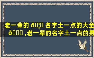 老一辈的 🦉 名字土一点的大全 🐅 ,老一辈的名字土一点的男生